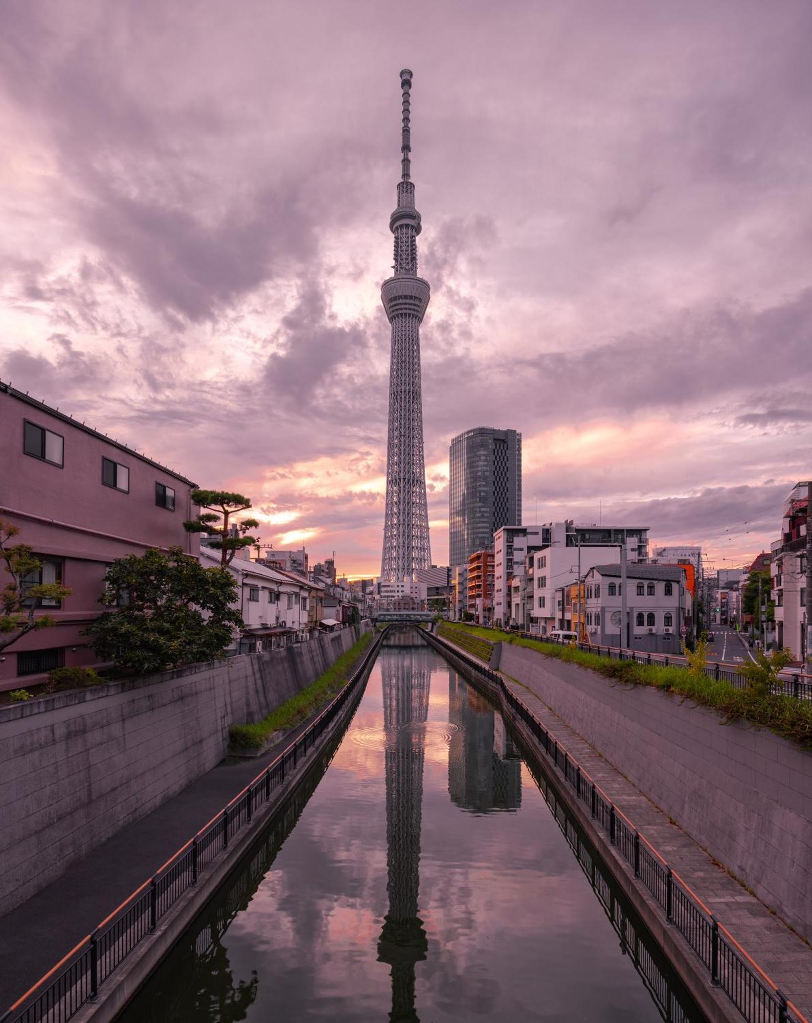 Sakura Apartamento